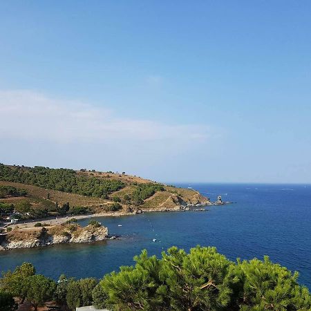 Profitez De La Vue ! Leilighet Banyuls-sur-Mer Eksteriør bilde
